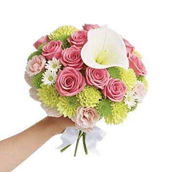 Elegant Calla Lilies