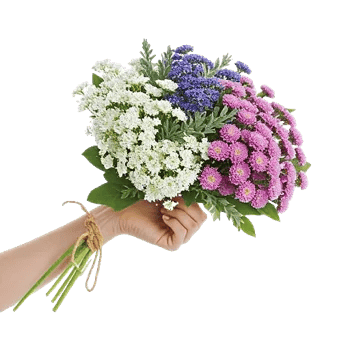 Rosemary Bloom Elegance