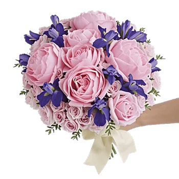 Peony Petal Harmony