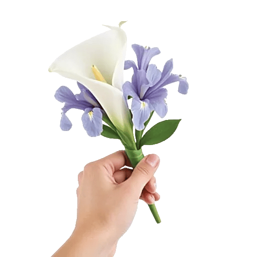 Elegant Calla Lilies
