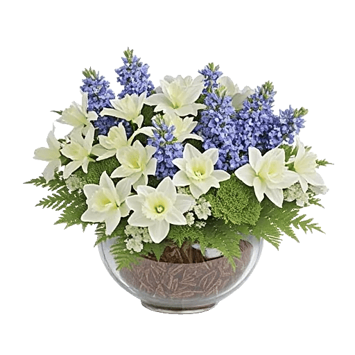 Opal Orchid Delight