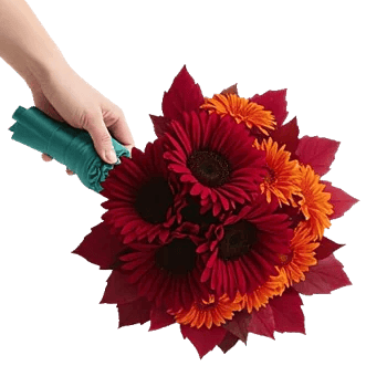 Radiant Bloom Cascade
