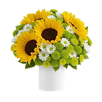 Radiant Bloom Cascade