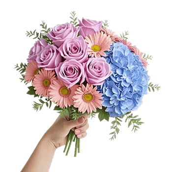 Serene Petal Harmony