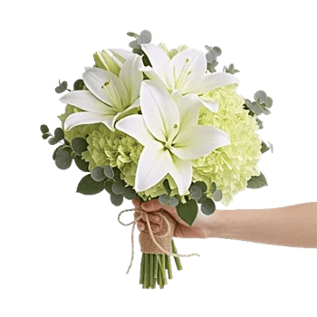Ivory Garden Grace
