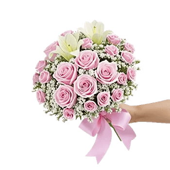 Pastel Pink Roses