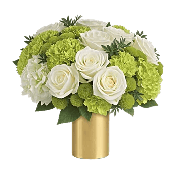 Ivory Blossom Radiance
