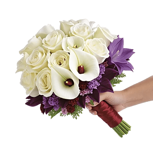 Elegant Calla Lilies
