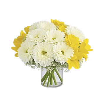 Delicate Petal Cascade