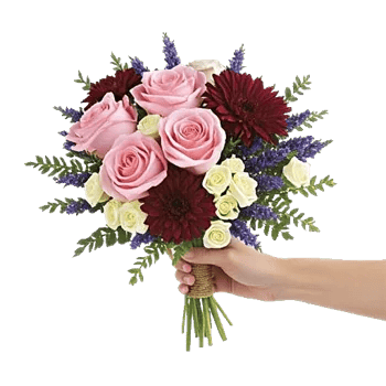 Blushing Rose Symphony