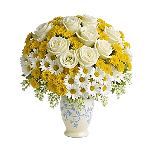 Ivory Blossom Radiance