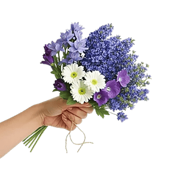 Blossom Petal Serenity