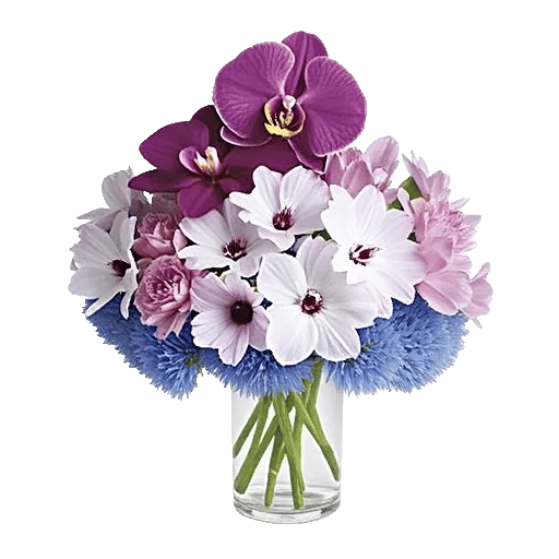 Orchid Bloom Cascade