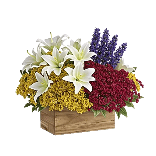 Frosted Lily Spread