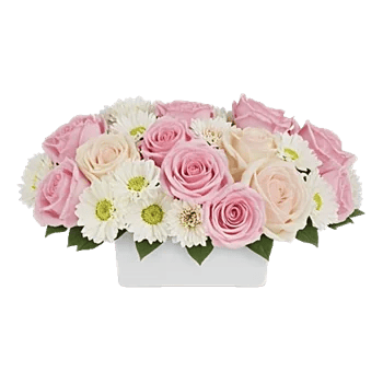 Delicate Petal Cascade