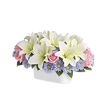 Graceful Lily Display