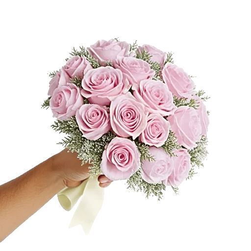 Pastel Pink Roses