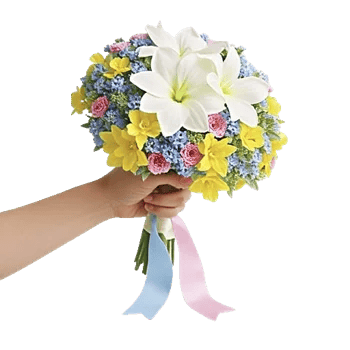Ivory Garden Grace