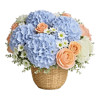 Serene Petal Harmony