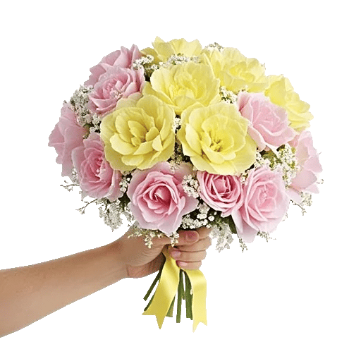 Serene Petal Harmony