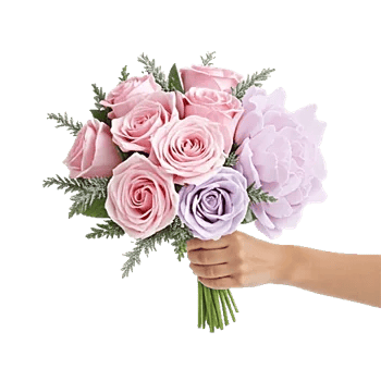 Pastel Pink Roses