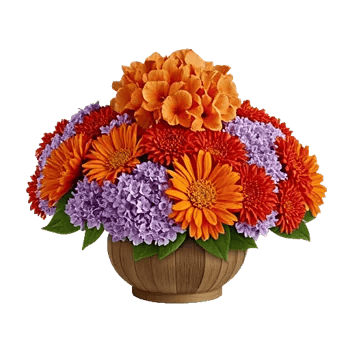 Blooming Orchard Splendor