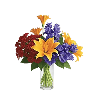 Petal Radiance Bliss