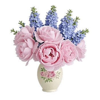 Peony Petal Harmony