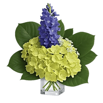 Lush Greenery Harmony