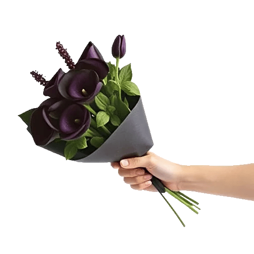 Elegant Calla Lilies