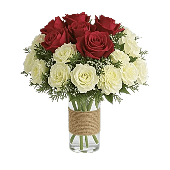 Crimson Rose Elegance