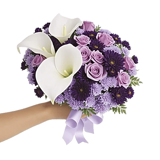 Elegant Calla Lilies