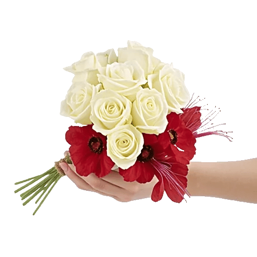 Petal Grace Harmony