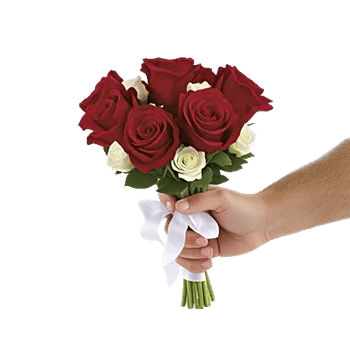 Crimson Rose Elegance