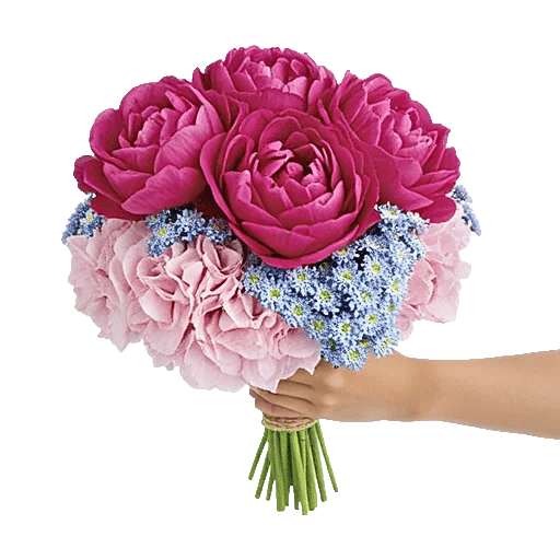 Peony Petal Harmony