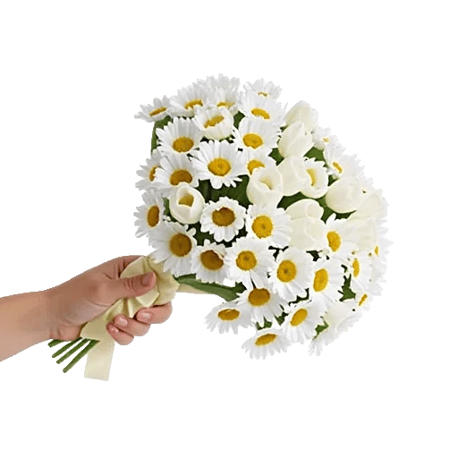 Blossom Harmony Display