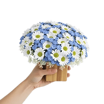 Blossom Petal Serenity