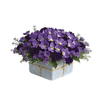 Lavender Fields Forever