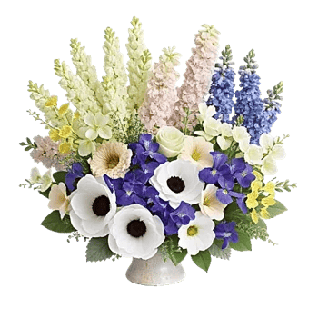 Blooming Serenity Display