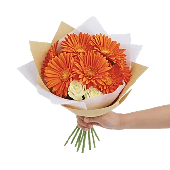Petal Harmony Bliss