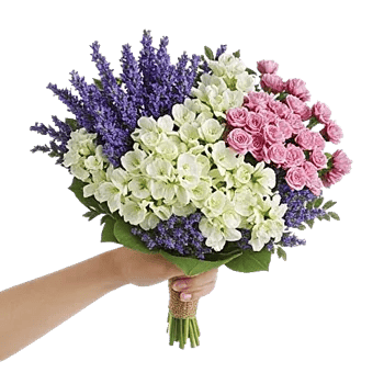 Blossom Harmony Display