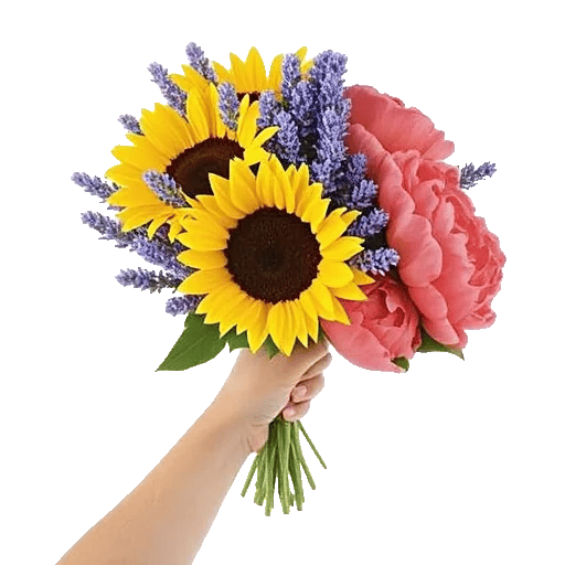 Twinkling Sunflower Dance