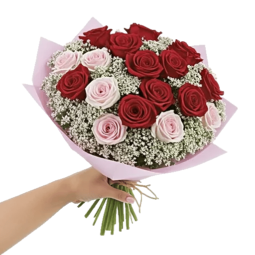 Crimson Rose Elegance