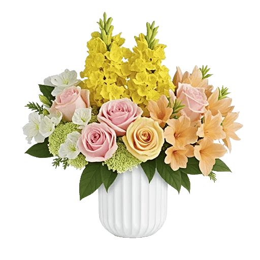 Ivory Blossom Radiance