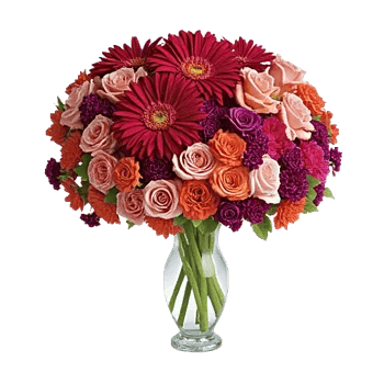 Crimson Blossom Harmony
