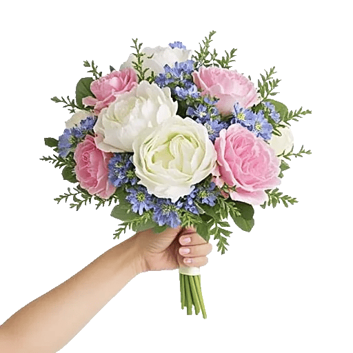 Peony Petal Harmony