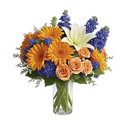 Petal Radiance Bliss