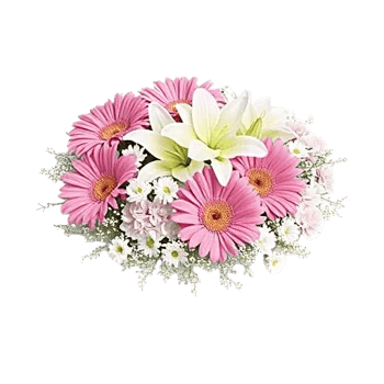 Petal Harmony Bliss