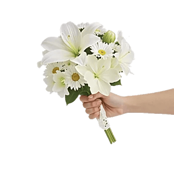 Ivory Garden Grace