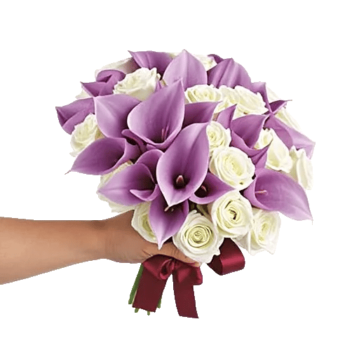 Elegant Calla Lilies